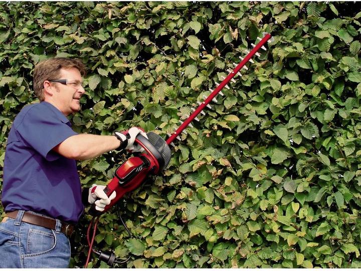 Actual product image Einhell Gc-Eh 6055/1 (Electric hedge trimmer)