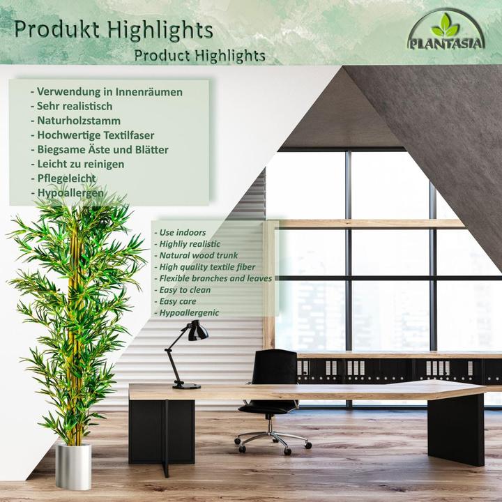 Image du produit Plantasia Bambou Arbuste (160 cm)