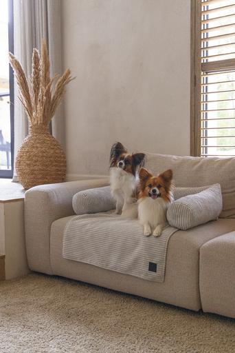 Actual product image Designed by Lotte Couch cushion Ribbed (Dog)