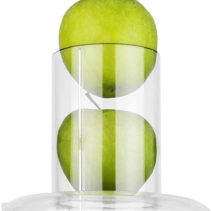 Actual product image Gastroback Vital Juicer Pro Juicer (CH plug)
