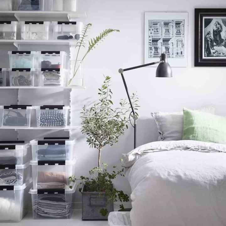 Image du produit Orthex Boîte d'archives (40 x 30 x 11 cm, 8 l)