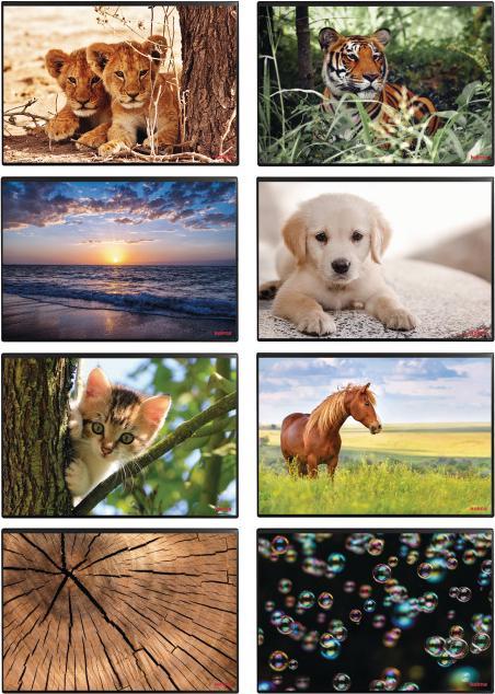 Image du produit Kolma Sous-main Poster (Tigre) 50 x 34 (50 x 34 cm)