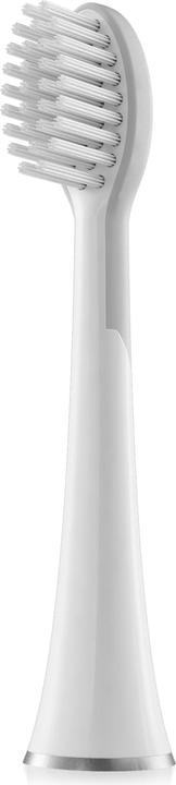 Actual product image Whitewash Standard SW-2011 set of 2 for SW-2000 (2 x)