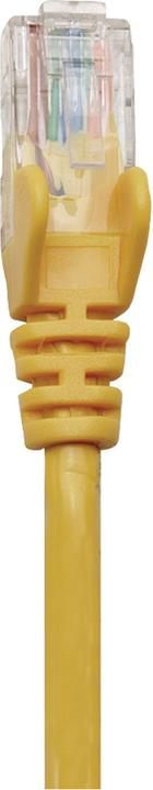 Produktbild Intellinet Patch-Kabel (U/UTP, CAT6, 0.25 m)