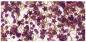 Immagine prodotto Rayher Glitter-Glue Space, rosa, 50 ml (Oro, Pink, 50 ml)
