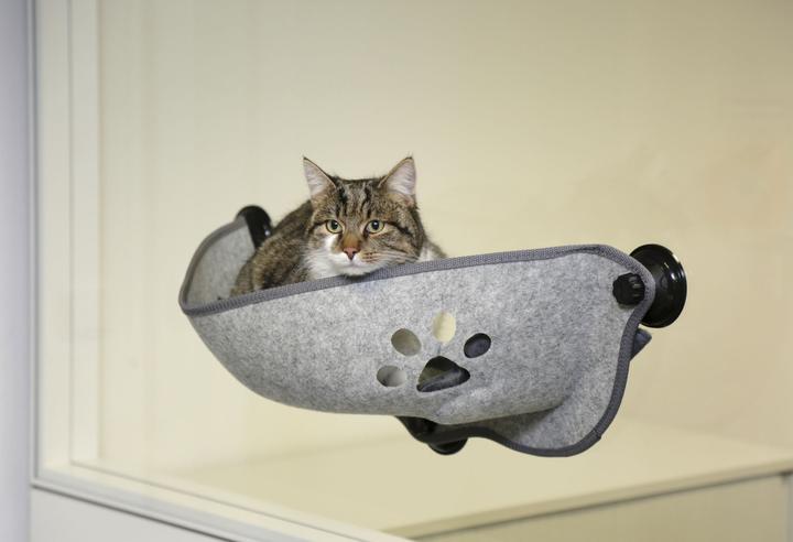 Immagine prodotto Oster Sedile soleggiato (Gatto)