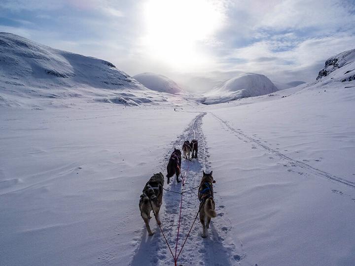 Image du produit Smartbox Séjour en Suède : 4 jours avec aurores boréales et balade en chiens de traîneau pour 2 (2 pers.)