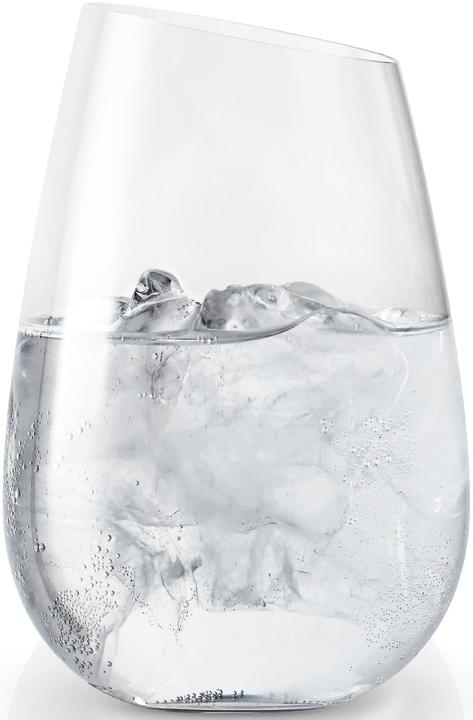 Image du produit Eva Solo Verre (0.48 l, 1 x)