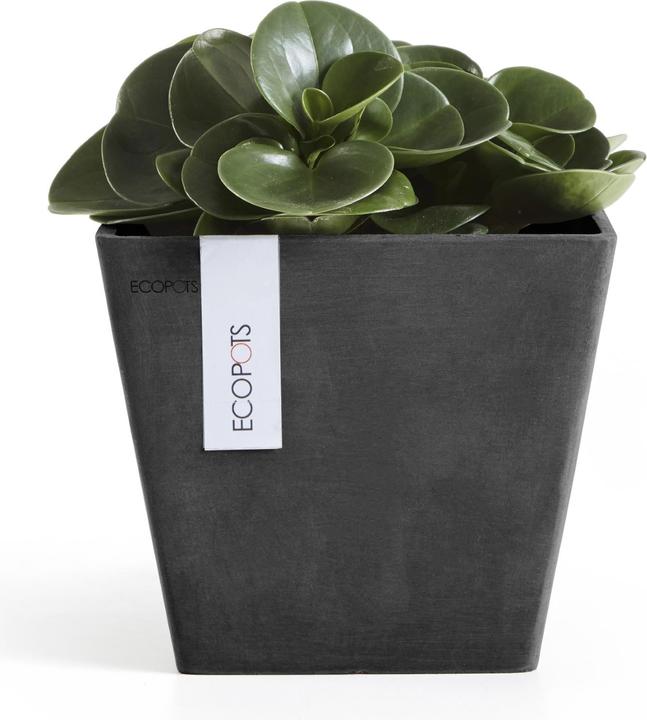 Actual product image Ecopots Rotterdam (20 cm)