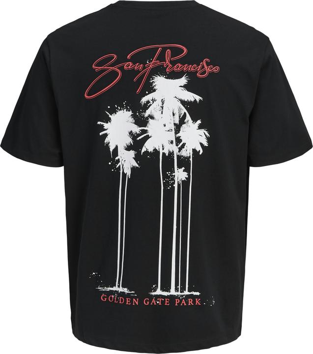 Produktbild Jack & Jones Jorbradley Goldengate Tee Ss C.N Stmss25 (M)