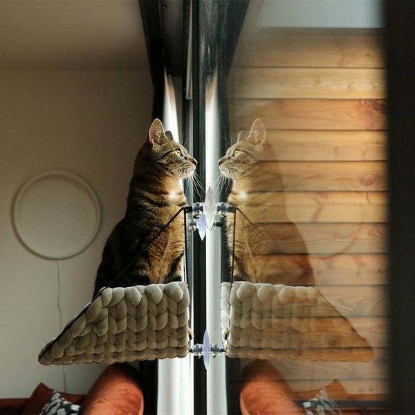 Actual product image D&D Sofia Fensterbett (Cat)