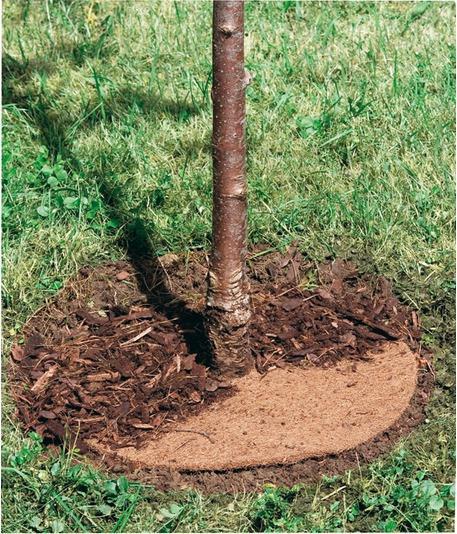 Actual product image Windhager Mulching disc Cocodisc