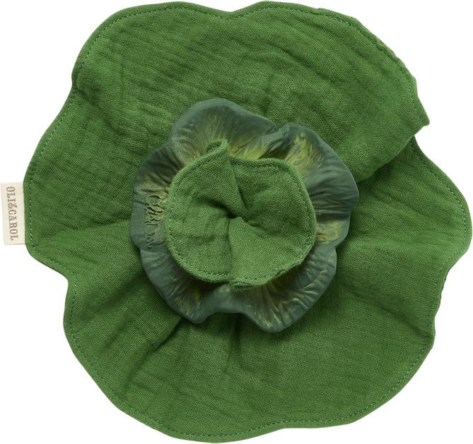 Oli and Carol Mini Doudou - Teether Kendall the Kale