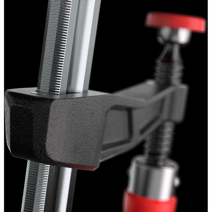 Image du produit Bessey Jeu de presses +AMMAqQ-dition sp+AMMAqQ-ciale limit+AMMAqQ-e pour le 135e anniversai (250 mm)