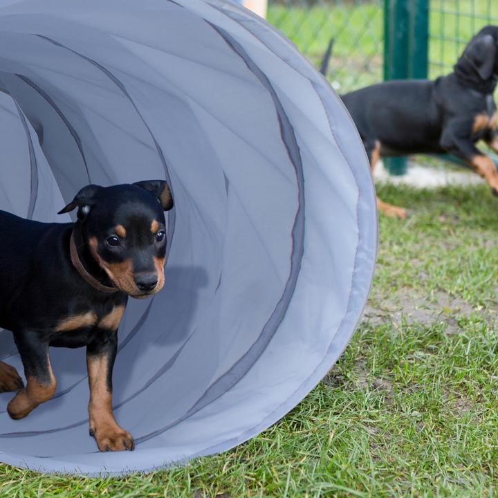 Immagine prodotto Relaxdays Tunnel per cani (Destrezza)