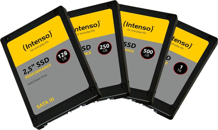 Actual product image Intenso Performance (1000 GB, 2.5")
