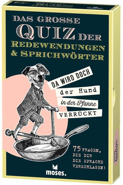 Actual product image The big quiz of idioms & proverbs (German)