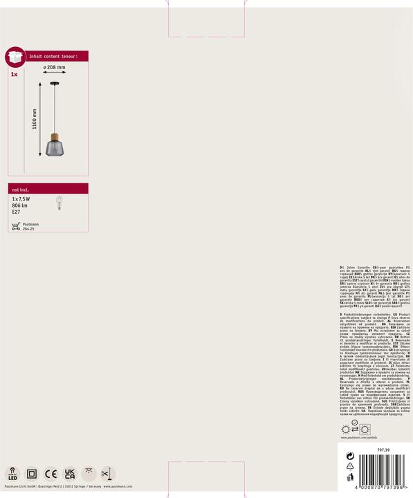 Actual product image Paulmann Neordic Elia (E27)