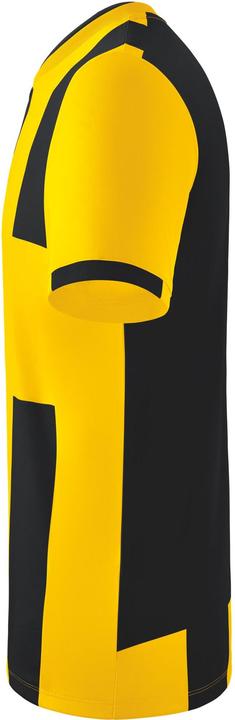 Actual product image Erima Siena 3.0 jersey (L)