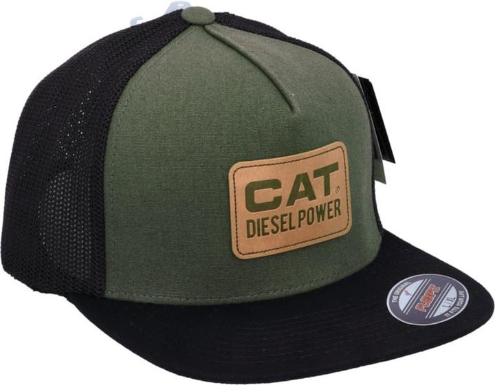 Actual product image Cat Diesel Power (L)