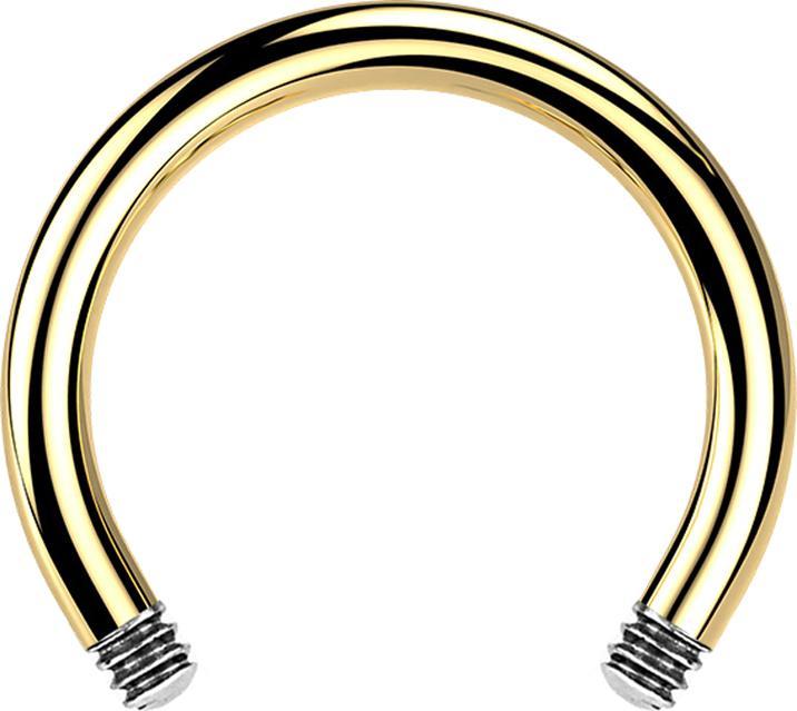 Image du produit Star Piercing Barre Micro Circular Barbell plaquée or (Titane G23, sans laiton)