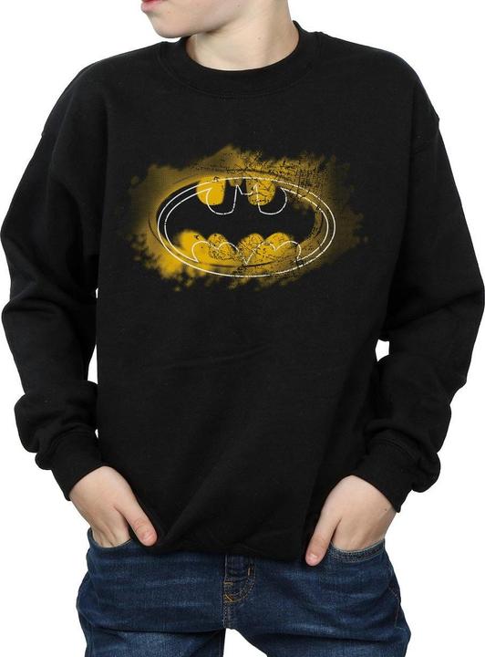 Produktbild Batman Spray Logo Sweatshirt Jungen (140, 146)