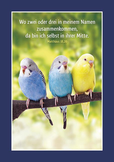 Image du produit Petite source - En forme pour les animaux, autocollant