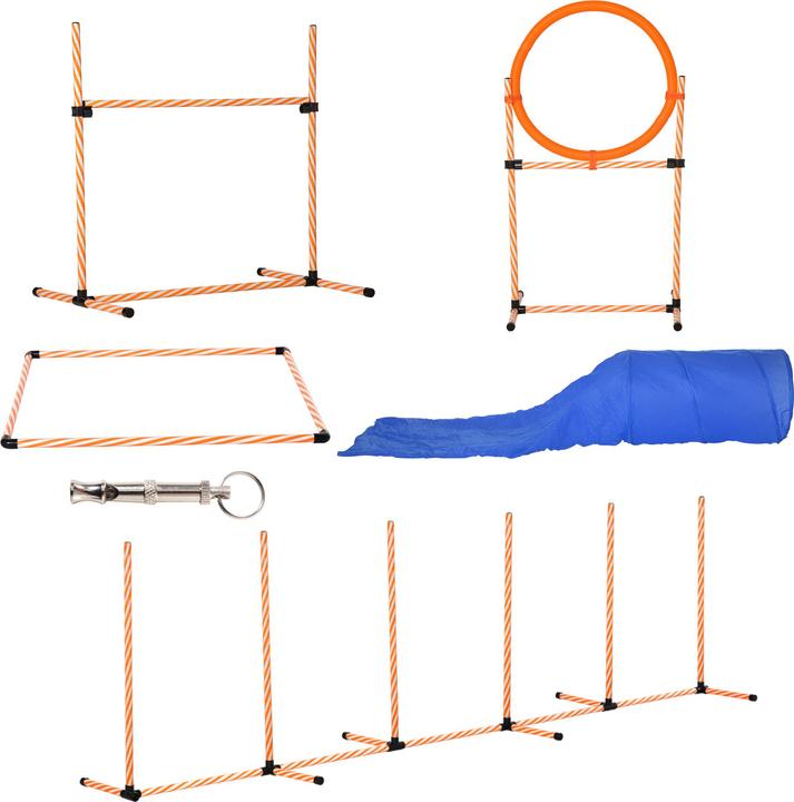 PawHut Set (Agility)