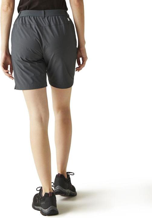 Actual product image Regatta Mountain Shorts II (L)