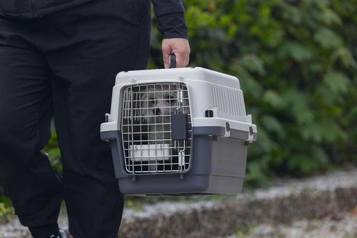 Actual product image Karlie Nomad (Dog, Cat, Lockable)
