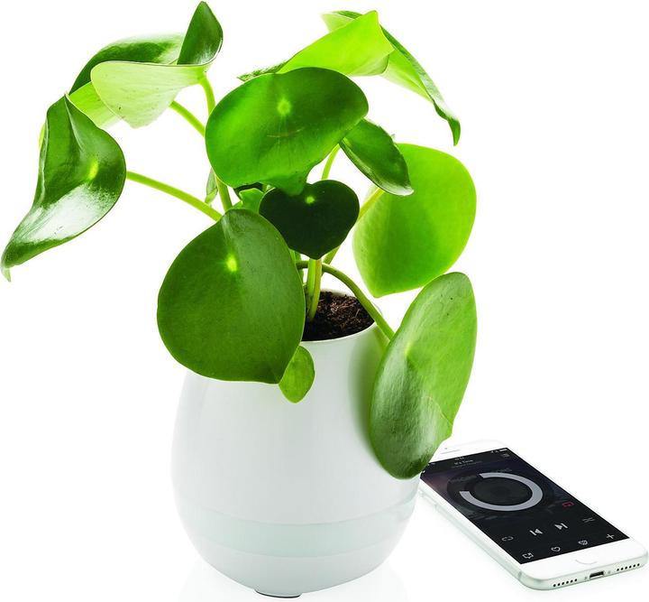 Produktbild XD Design Flowerpot Speaker (5 h)