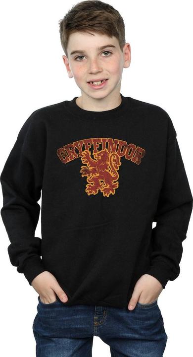 Image du produit - Sweat GRYFFINDOR SPORT EMBLEM - Garçon (152, 158)
