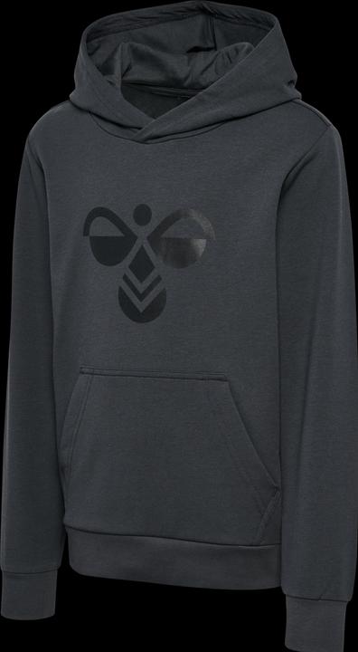 Actual product image hummel hmlCUATRO HOODIE (104)