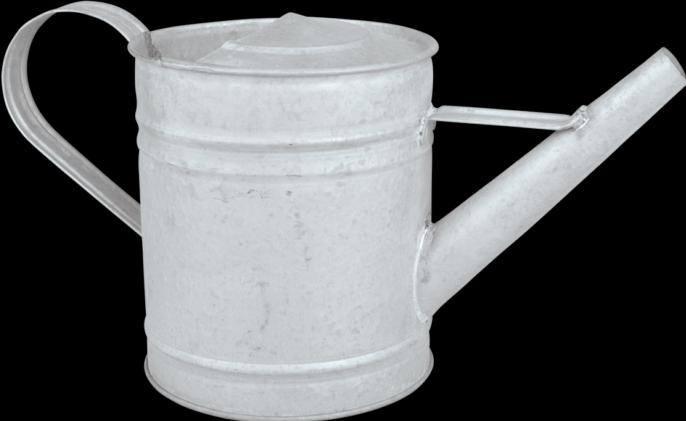Immagine prodotto Esschert Design Innaffiatoio (0.75 l)