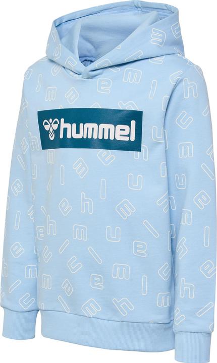 Image du produit hummel Hmlflow Hoodie (128)