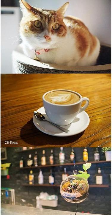 Image du produit 7artisans 25mm F1.8 Sony E (Sony E, APS-C / DX)