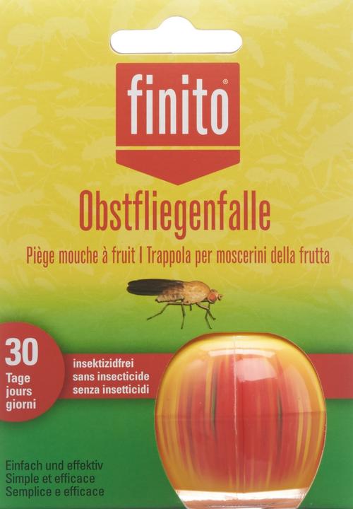 Actual product image Finito Fruit fly trap