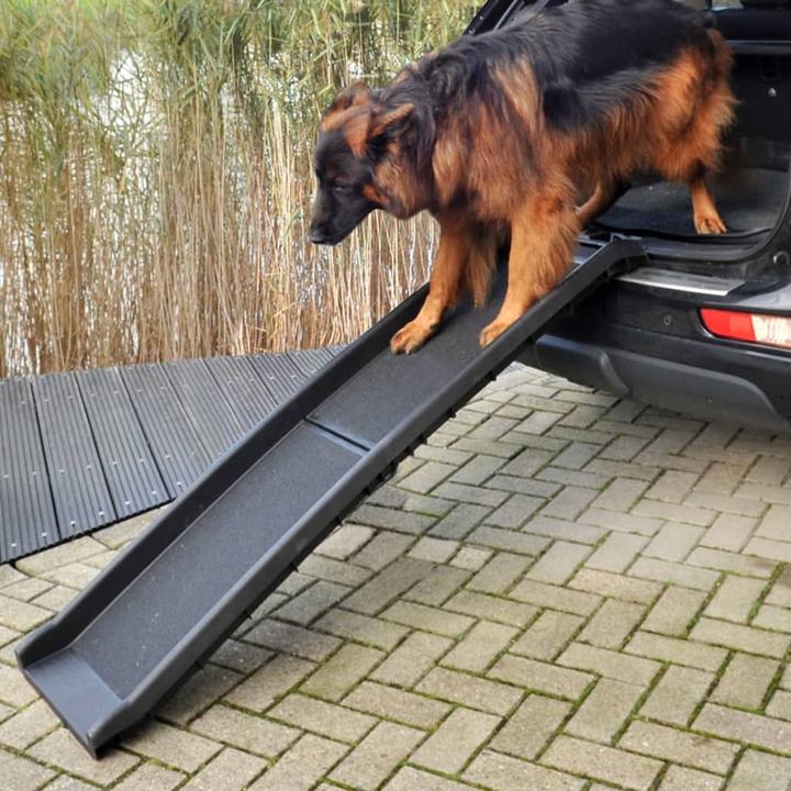 Produktbild ProPlus Hunderampe (Hund, Faltbar)