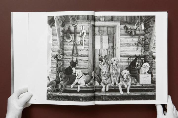 Produktbild Bruce Weber. The Golden Retriever Photographic Society (Deutsch, Französisch, Englisch, Jane Goodall, 2021)