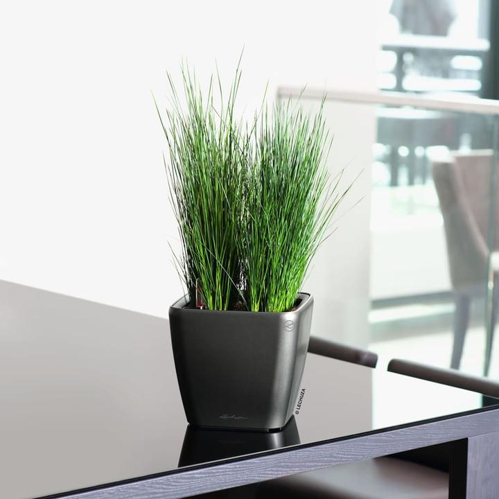 Produktbild Lechuza Quadro Ls (22.50 cm)