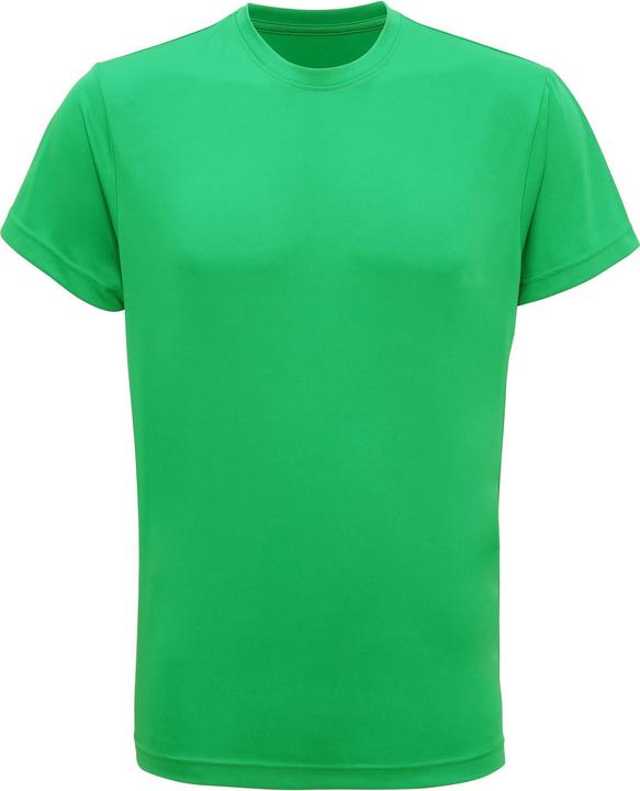 Verde Kelly