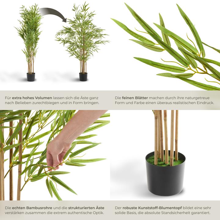 Actual product image tectake Bamboo tree Bambosa (150 cm)