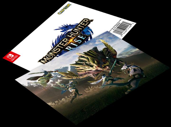 Actual product image Nintendo Switch - Monster Hunter Rise Edition