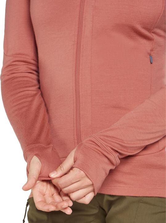 Actual product image Icebreaker Women's Merino 260 Quantum IV L/S Zip Hoodie (XS)