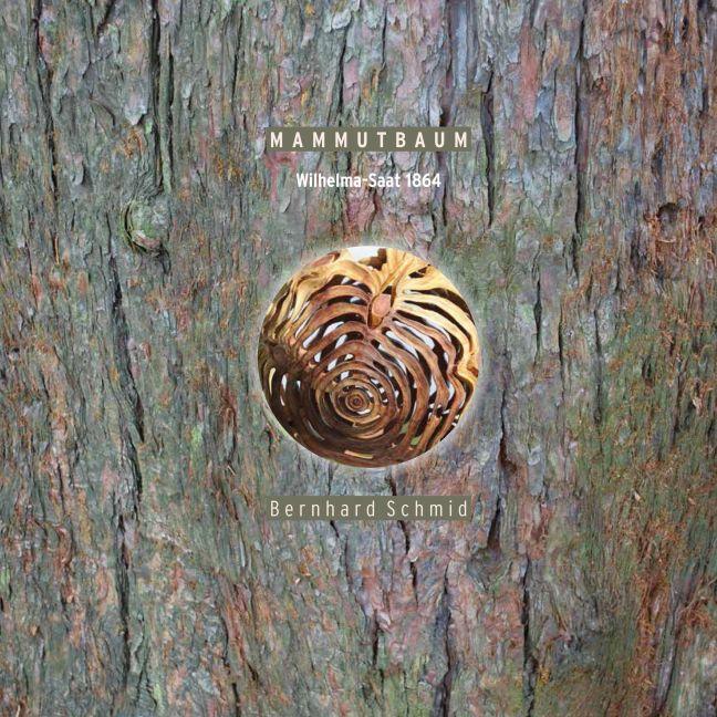 Image du produit Bernhard Schmid:Mammutbaum (Bernhard Schmid, 2014)