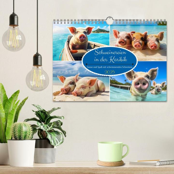 Actual product image Pigs in the Caribbean. Sun and spa with swimming pigs (Wall calendar 2025 DIN A (A4, No binding, German)