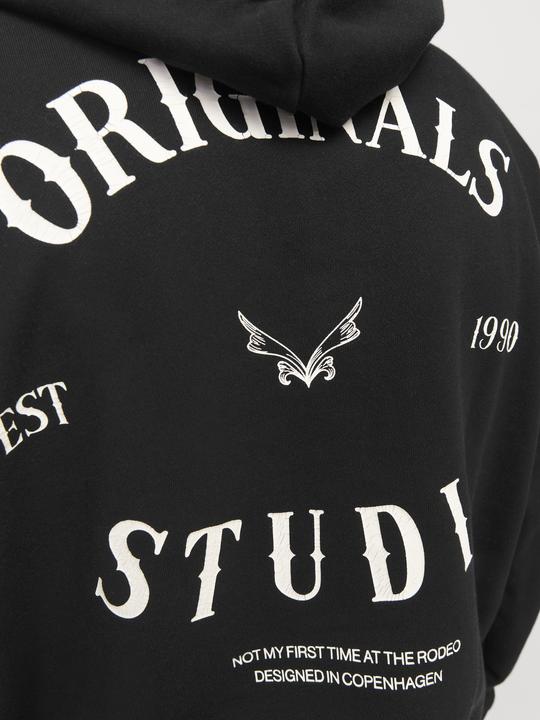 Image du produit Jack & Jones Joraustin Font Sweat Hood Styd Aw24 (M)