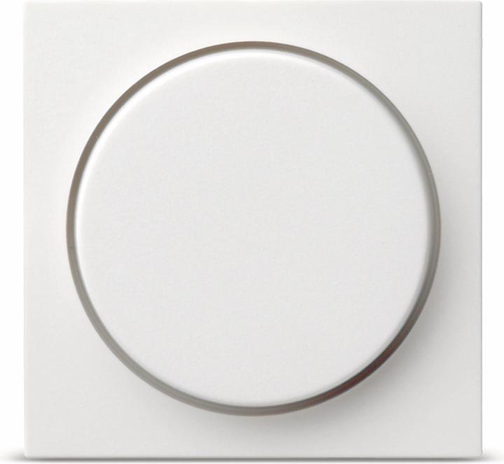 Gira Cover dimmer System 55, St