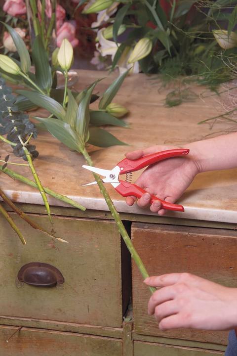 Immagine prodotto Felco forbici per fiori e frutta