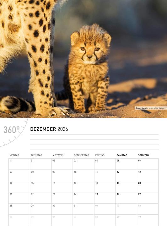 Actual product image NamibiaBrochure calendar2026 (German)